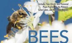 Honey Bees Bookcover