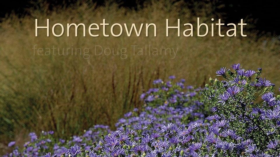 Hometown Habitat: Documentary Screening