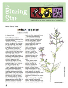 Blazing Star Front Cover, Summer 2017
