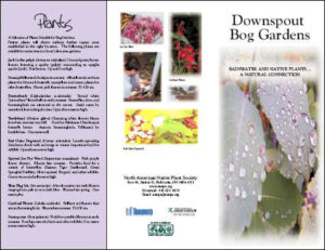 Downspour Brochure